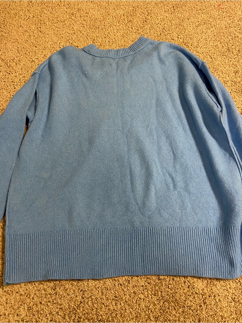 Aerie Softest Luxe Crew Sweater Blue Dachshund Dog Graphic S pullover oversized - Picture 9 of 9